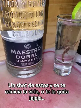 #humor #shot #alacrandelasierra🦂🦂 algo bien #tequila 