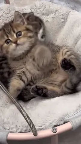 🥰