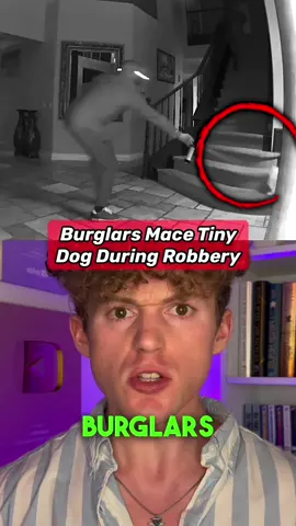 Truly despicable people #storytime #crimes 