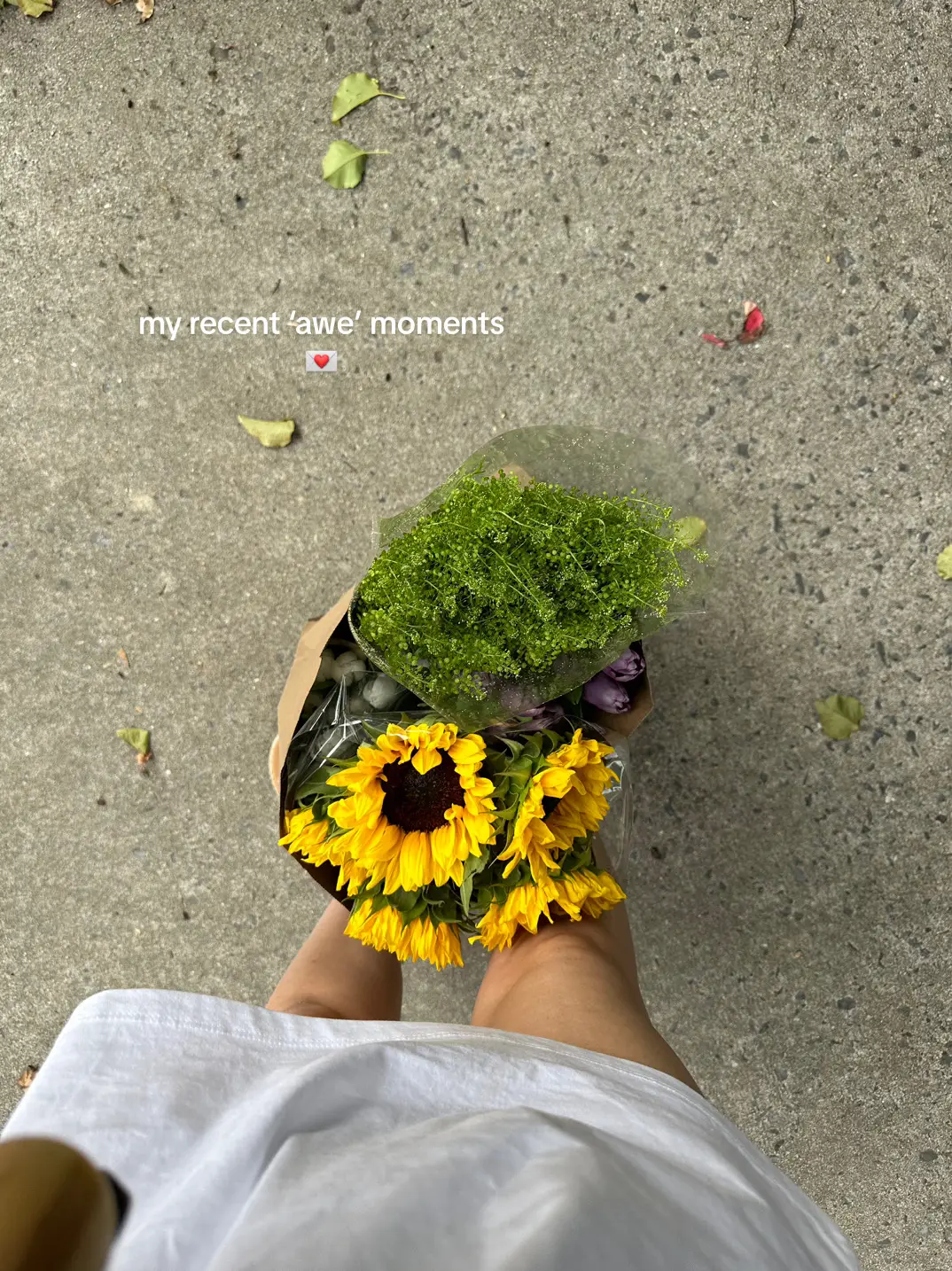 so much wonder in all the mundane 🥹 mindfullness really is key  #gratitude #mindfulness #lifelately #lifestyleinspo #lifestyleblogger #fyp 