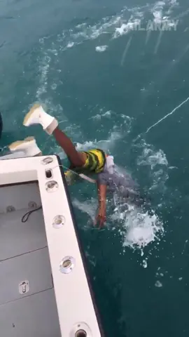 catch of the day 🐠 #FailArmy #NationalFishingandBoatingWeek #fishingfails