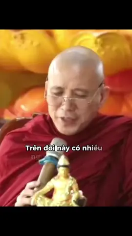 #capcutphatgiao ĂN TRẦU THÌ PHẢI CÓ VÔI #khaunghiep #thichchanhdinh #suchanhdinh #daophat #xh #caunoihay 
