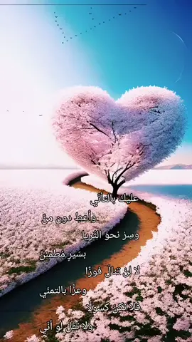 #عليك_بالتأني_و_أعطي_دون_منِ #عليك_بالتأني_احمدالنفيس #عليك_بالتأني💞 
