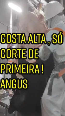 #frigorifico #qualidade #boi #rumo20kseguidores #segue #foryou #compartilha #TikTokFashion #profissinal 