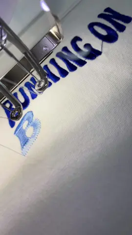 #bluey #blueycartoon #blueyandbingo #chilliheeler #banditheeler #blueymerch #embroideredtshirt #viraltiktok 