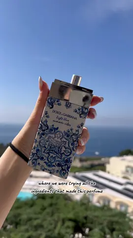 Is this the most magical place on earth? I couldn't be more grateful for having had the opportunity to have such a magical experience 💙 thanks Dolce&Gabbana #DGBEAUTY #DGSUMMERVIBES ad