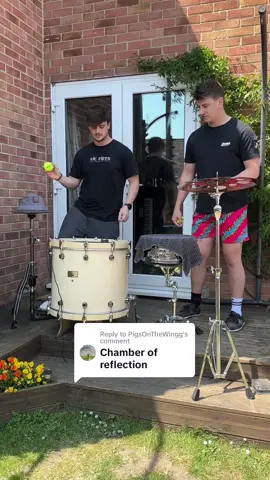 Replying to @PigsOnTheWingg  Had to be done 🤝 #chamberofreflection #macdemarco #tennisballs #trickshot #fypシ #producer #juggling 