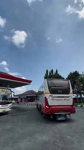 harapan jaya fulll ngeblong #busmania #fyp #trending 