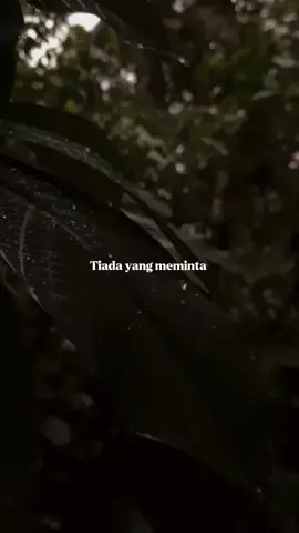 usik||@fbypnc #usik #usikfebyputri #tiktokfypシ #quotes #jowopride #fypシ #viral #liriklagu #storywa #overlay 