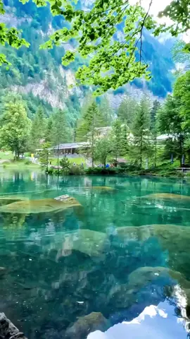 📍Blausee | 😍🇨🇭 Always worth a visit. Blausee is one of the most famous mountain lakes in Switzerland, thanks to its very special color and crystal clear water that comes only from underground springs. . 🌹Save this for your trip to Switzerland. #blausee #blauseelake #lagoblausee #berneroberland #ig_switzerland #switzerland #switzerland🇨🇭 #schweiz #switzerland_vacations #switzerlandpictures #switzerlandwonderland #switzerlandmylove #nature #naturephotography #landscape #landscapephotography #beautifuldestinations #exploremore #amazingswitzerland #montagne #mountains  #lake #Hiking #thebeautifulswitzerland #myswitzerland #bnw_switzerland #heavenonearth  #wanderlust #tourandtrav