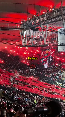 Amor da minha vida todinha!❤️🖤😍 #flamengo #pebinharubronegro #fla #mengo #mengao #sempreflamengo #issoaquieflamengo #libertadores #mengaodomeucoracao #ferrugem #flamengosempre #mengaonaveia #parauapebas #riodejaneiro #musica 