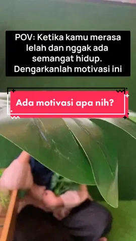 Ada motovasi apa nihh??  Yukk download market pulsa sekarang, bayar apapun gak perlu keluar rumah lohh 😉 #marketpulsamagetan #fypシ゚viral #viraltiktok #fyppage #marketpulsa #trending #viral 