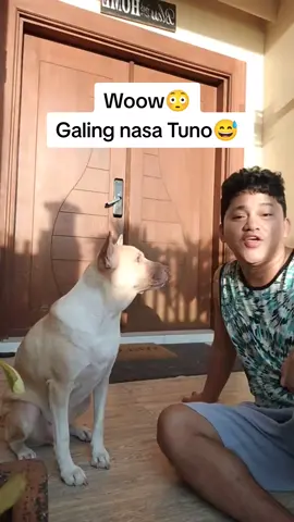 Woow😳 Galing Theo nasa Tuno😁 #aspin #aspinlover #dog #doglover #pet #petlover #dogsofttiktok #dogoftheday #dogsoftiktok #dogtiktok #PetsOfTikTok 
