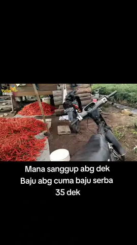 Gak sanggup abg dek.. baju abg serba 35 dek  #fyp #trendtiktok #petanicabai #omsetratusanjuta #petanicabaiindonesia #aceh #petanimuda 
