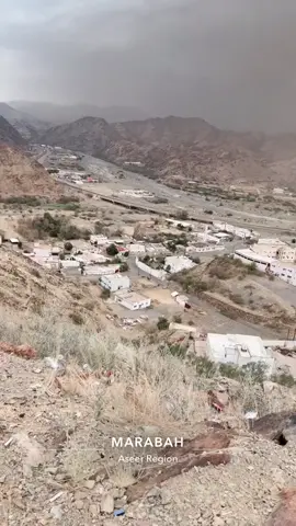 مربه 