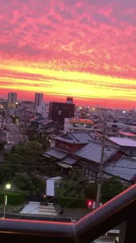 Chiều tà tại nihon p1🫶🏻#aichi23🇯🇵 #xuhuong #tiktok #chile 
