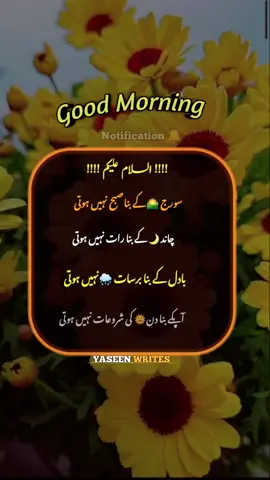 Good Morning 🌄🌅🌼#goodmorning #foryou #trending #whatsappstatus #yaseen_writes125 #1millionaudition 