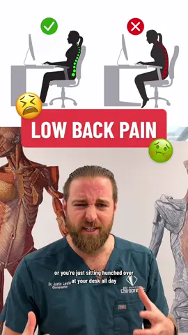 Replying to @mwehrhan  Heres how to fix your lower back pain 😭 Low back pain can sometimes be a pain the 🍑 but following a routine of stretching everyday may help reduce that lower back tension. These back pain relief tips are perfect if youre sitting at your desk all day and experience some sort of pain in the lower back 😫 This is NOT medical advice, consult a doctor before trying :) #NYCchiro #GetAdjustedNow #LearnOnTikTok #backstretch #backpain #backpainrelief 