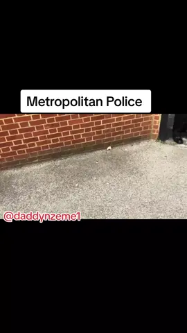 chicky chat #Fyp #UKpolice #funnyvideos 