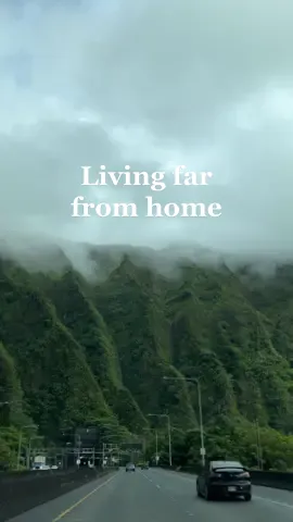 Going to school far from home and family can be challenging. Always appreciate any little moments I get to return for a few days. #hawaii #graduateschool  #capcut 