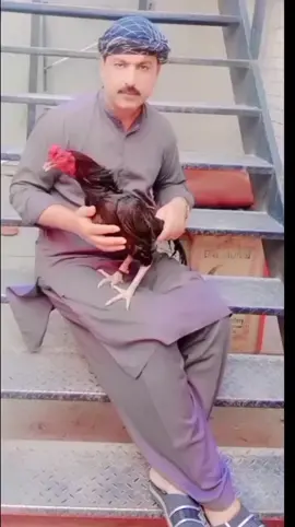 #jaabdulnaeen430 #راولپنڈی #to #answer #tiktokislove #kislove❤️odsk #answer #to #کھڑکن #see#va #iprofycaramba👁👄👁 #iprofycaramba👁👄👁iprofycar #fee #fee #jaabdulnaeen430 #راولپنڈی #fee 