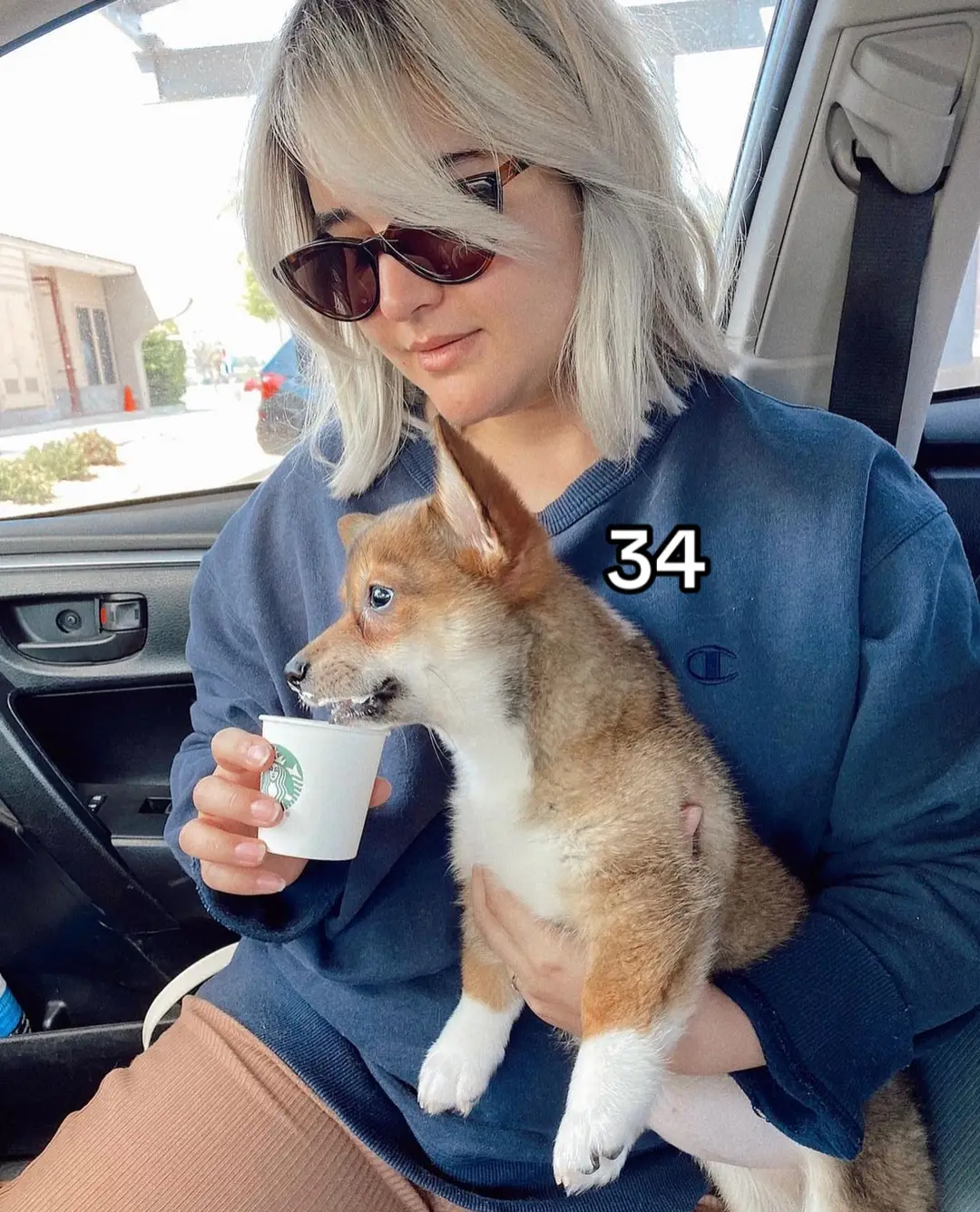 #puppies