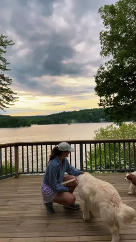 New England Summer >>> #newengland #newenglandsummer #Summer #lakelife #candlewoodisle #newenglandcheck #newenglandaesthetic #sunset #candlewoodlake 