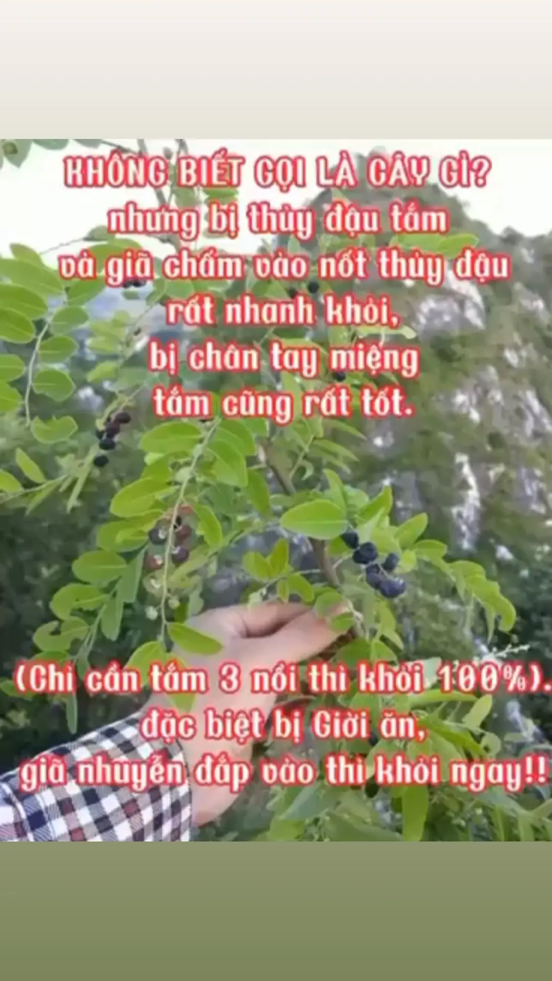 Lưu lại nhé cả nhà #xuhuong #xuhuongtiktok 