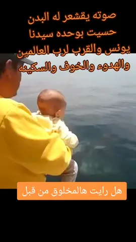 حوت سيدنا يونس اضخم.حوت#مشاهدات #tiktok 