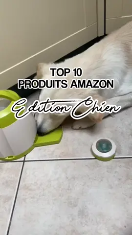 Les indispensables pour prendre soins de vos chiens #amazonfinds #amazonfavs #amazonmusthaves #tiktokmademebuyit #amazondogfinds #dog #doglover 