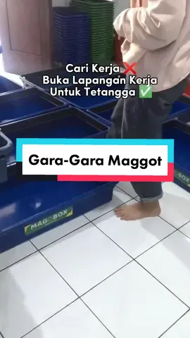 Gara - gara Maggot #fypシ #maggotbsf #bisnisviral #xyzbca #budidaya #ternakmaggot #bsf #maggot 