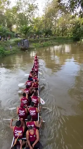 jaluar ica lah baliak ka kandang bang #pacujalurkuantansingingi #pacujalurpangean 
