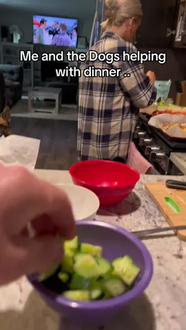 Our contribution is key.                           #fyp #foryou #dogs #dinner #doglife #dogsoftiktok #girlfriend #relationships #funny #food #doggo