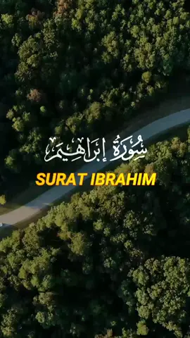 QS. SURAT IBRAHIM : 39-41 #murrotalquran #alquran #surahibrahim #islam #islamic_video #ngaji #ngajibareng #ngajiyuk 