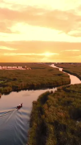 🌾 Experience Tranquil Sunsets in Iraqi Marshes 🌅🇮🇶 Indulge in the serene beauty of Iraqi Marshes as the sun descends, casting a golden glow upon this remarkable ecosystem. ✨ 🤩 Don’t forget to tag us in your posts and use #VisitIraq for a chance to be featured! 📸 Credit: @bareq_alithawi #TranquilSunsets #IraqiMarshes #Nature’sWonder 🌾🌅✨