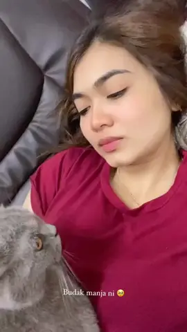 Kucing pun Wafa sayang, apatah lagi awak.... kan?? #wafarienaroslan #fypシ  #fypシ゚viral #fypdong #trending #gadisberdagubelah #2023  #sayangkamu 