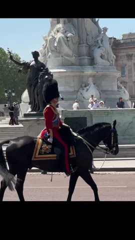 Prince William Brace the Scorching 🥵 Sun to Lead King’s Charles Birthday Rehearsals #troopingthecolour #princewilliam #kingcharles #royal #foryou #london #viral #fyp 