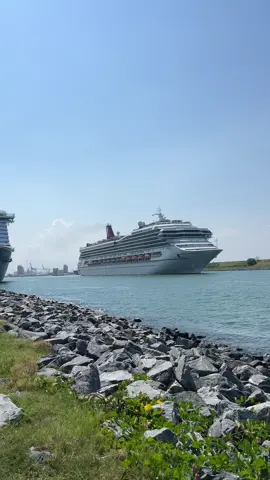 We love a good horn battle! Mardi Gras vs. Carnival Freedom! #carnivalcruiseline #carnival #mardigras #carnivalmardigras #carnivalcelebration #carnivaljubilee #carnivalvenezia #carnivalfreedom #carnivalliberty #cruise #cruiseship #ship #cruisetok #cruiselife #fyp #cruiseshiphorn 