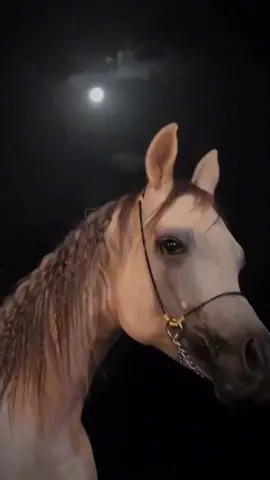 #trend #foryou #fyp #MOON#Horse 🐴🌖