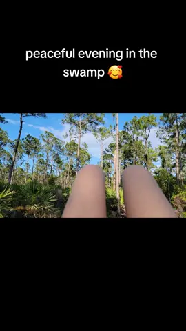 Nothing beats a peaceful evening in a South Florida swamp 🥰🥰🥰 #countrygirl #redneckgirl #swamplife #swampgirl 