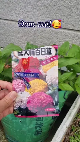 Hạnh phúc là cho dù bao nhiêu cũng cảm thấy đủ!🥰 Bình yên là khi chúng ta không cần phải tranh giành với ai cả!🥰 #tiktok #xuhuong #trending #fypシ #japan #nhatban #17ishikawa_Kawakita #64_vinhlong #KhuvườnÚtThủy#bìnhyênmỗingày❤️ #bìnhyênnơiđây #babyiloveyou 