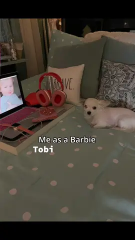 #CapCut #dog #dogasbarbie #funnymoments 