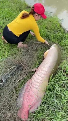 Incredible girl cast net fishing skills that is on another level! 😱 #fishing 