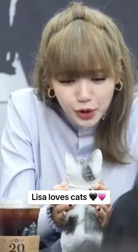 Lisa extremely loves cats #lisa #cats #fyp 