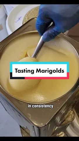 The feedback we get on this honey is incredible. Whether it's our lovely customers from the UK, the US, Australia or Nigeria, its usually very similar in being - the best honey they've ever tasted. Have you had your share? #honey #realhoney #creamedhoney #foodasmr #foodasmrvideo #rawhoney #beekeeper #visualasmr #asmrvoice #asmrvoiceover 