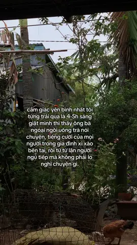 #fyp #xhtiktok #caption 
