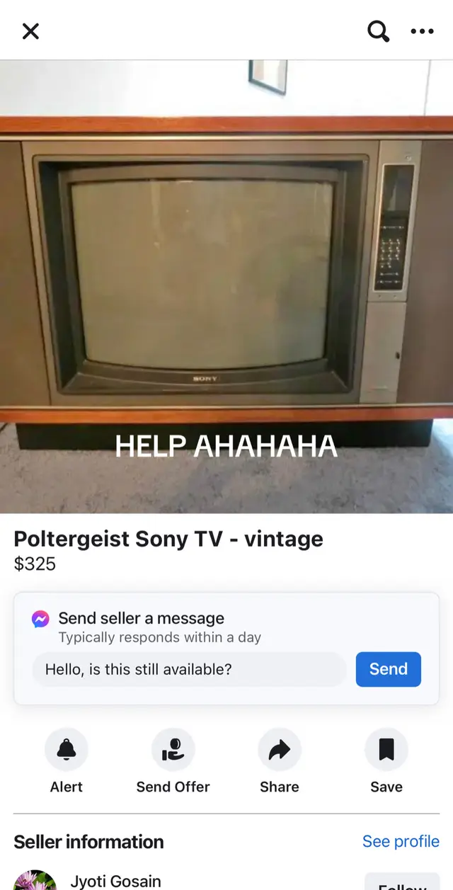 For 325 that better come with the damn ghosts too. #1980s #vintage #retro #poltergeist #spooky #funny #vintageelectronics #sonytrinitron 