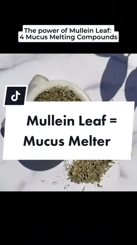 The power of Mullein Leaf: 4 Mucus Melting Compounds  1. Saponins: Break down mucus for easier breathing. 🌬️  2. Flavonoids: Soothe and reduce inflammation in airways. 🌼 3. Tannins: Tone respiratory passages, easing congestion. 4. Coumarins: Act as natural expectorants, clearing mucus.✌️ #mullein #phlegm #mucus #congestion #detox #cleanse #respiratory #naturalmedicine 