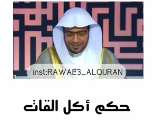 #لايك_متابعه_اكسبلور #حكم أكل #شجرة القات#اليمن__إب #اليمن🇾🇪 