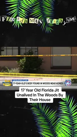 #floridajit  #florida #floridacheck 